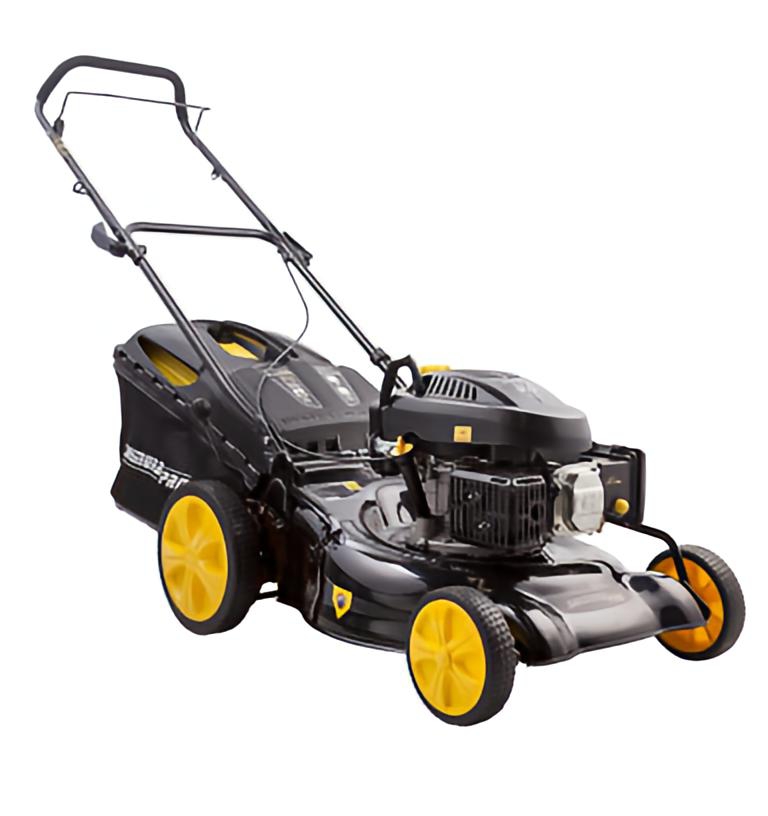 Cortadora PRO 6.75HP C/B NAFTERA - Imagen 2