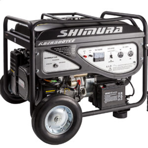 Grupo ELECTRÓGENO 5500w